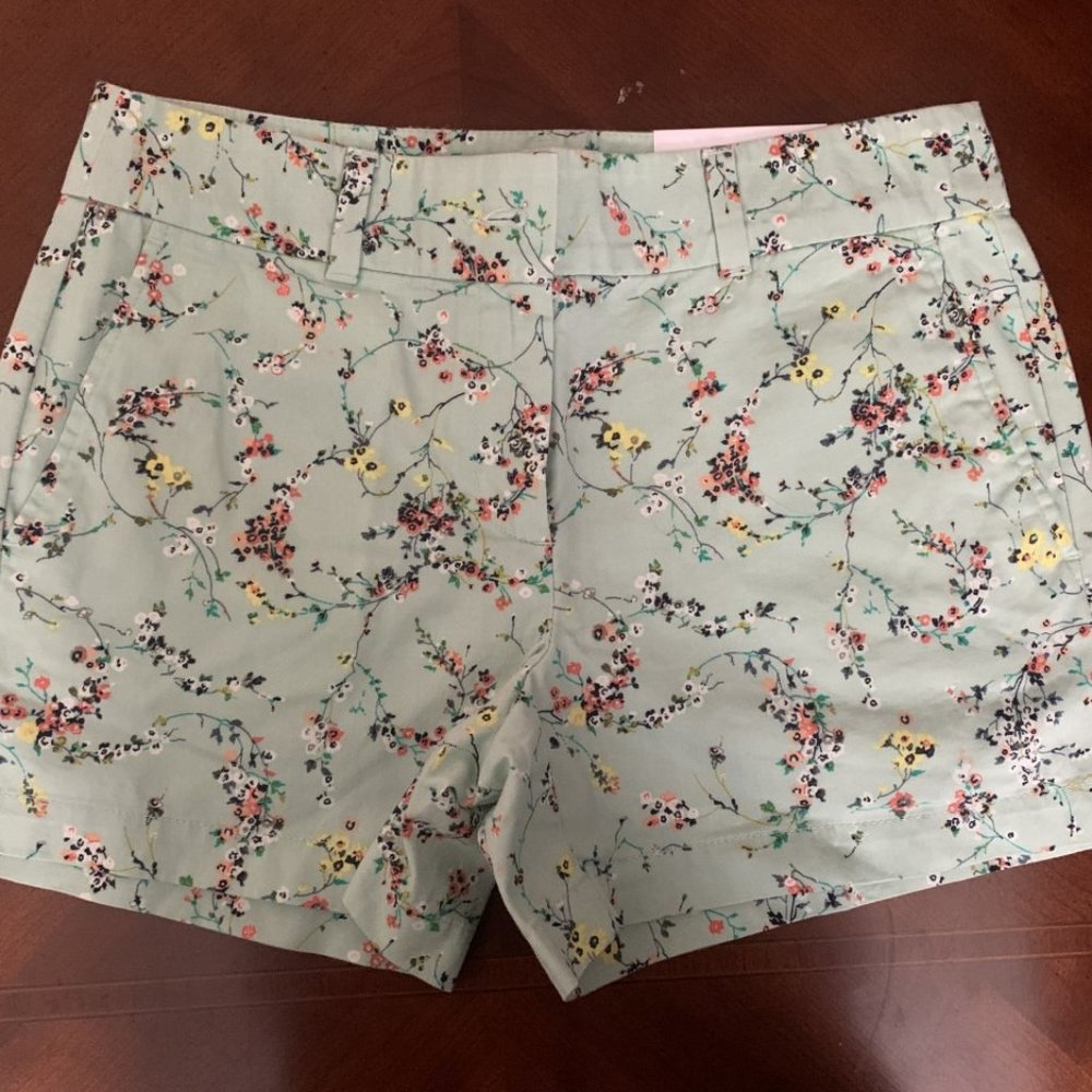 Loft Green shorts NWT